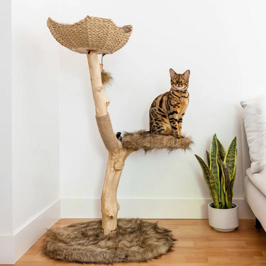 Lina 46'' H Cat Tree