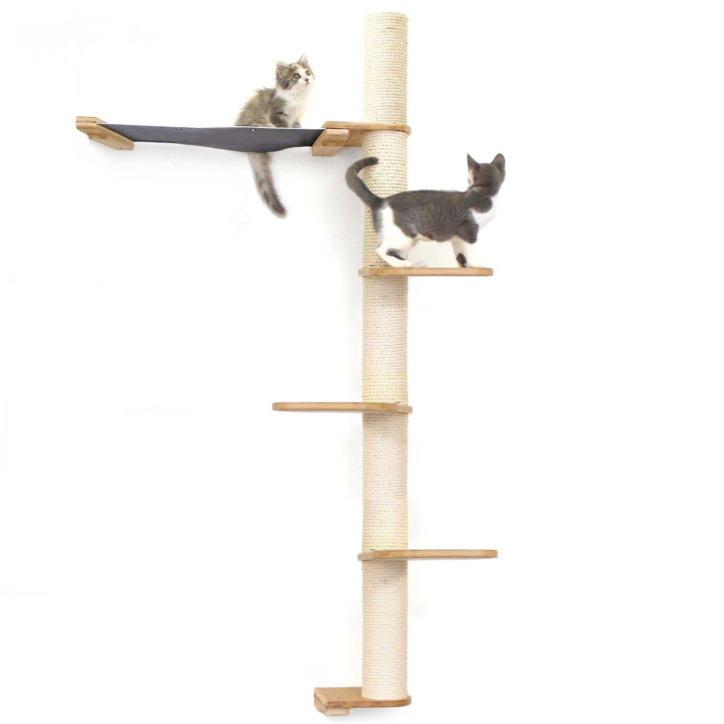 Tall cat perch with natural bamboo vertical scratching pole and charcoal gray summit hammock, designed for cat tree wall and .