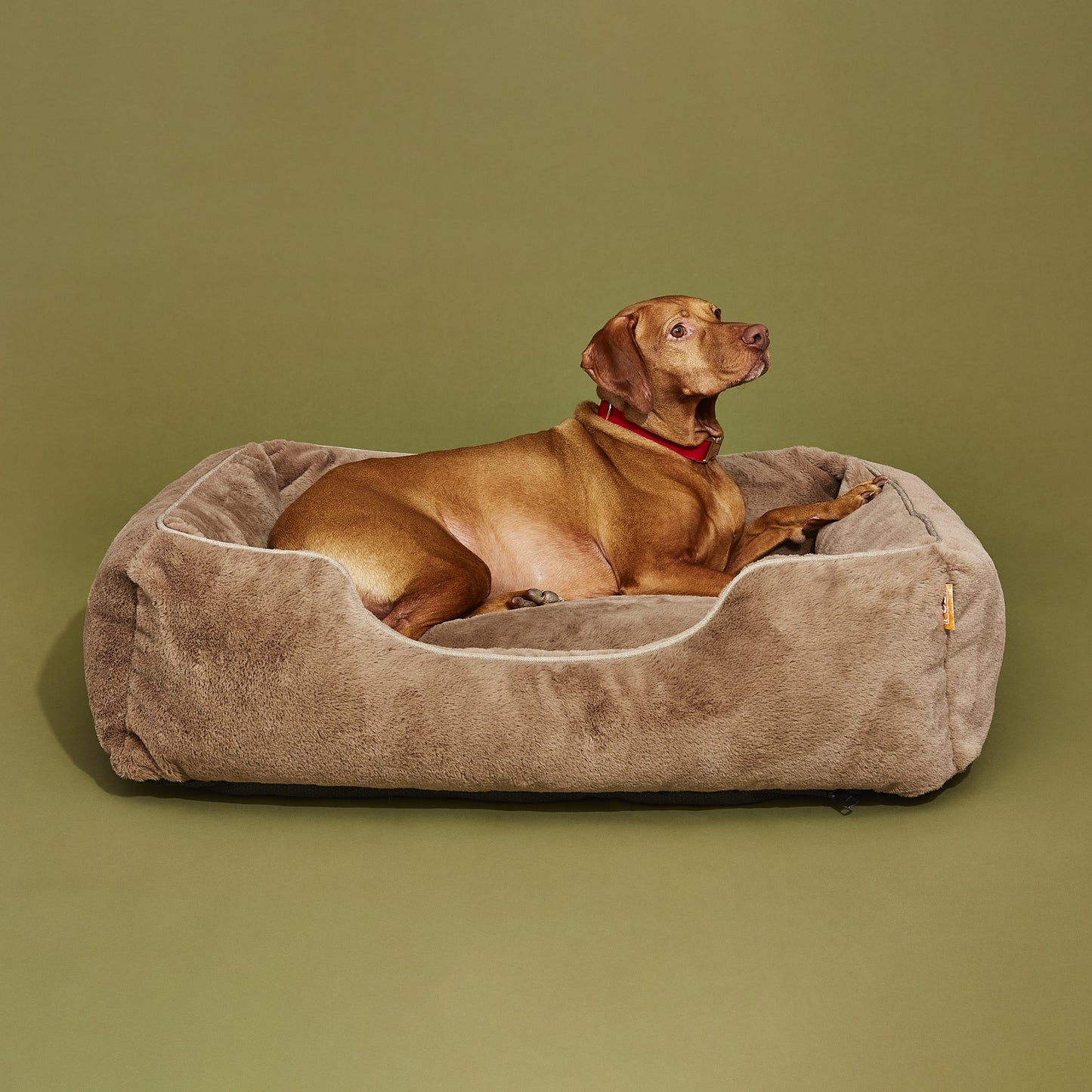 Orthopedic Bolster Dog Bed – Faux Fur, Removable Cover (Light Brown)