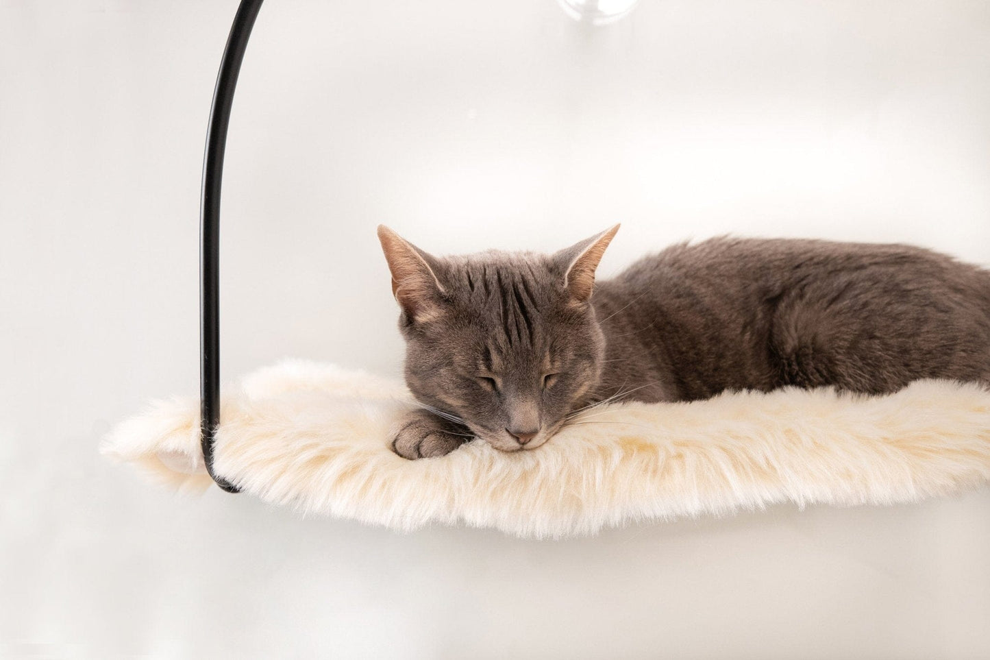 Cat Window Hammock with Suction Cups - 30lb Capacity Elevated Perch for Glass Windows