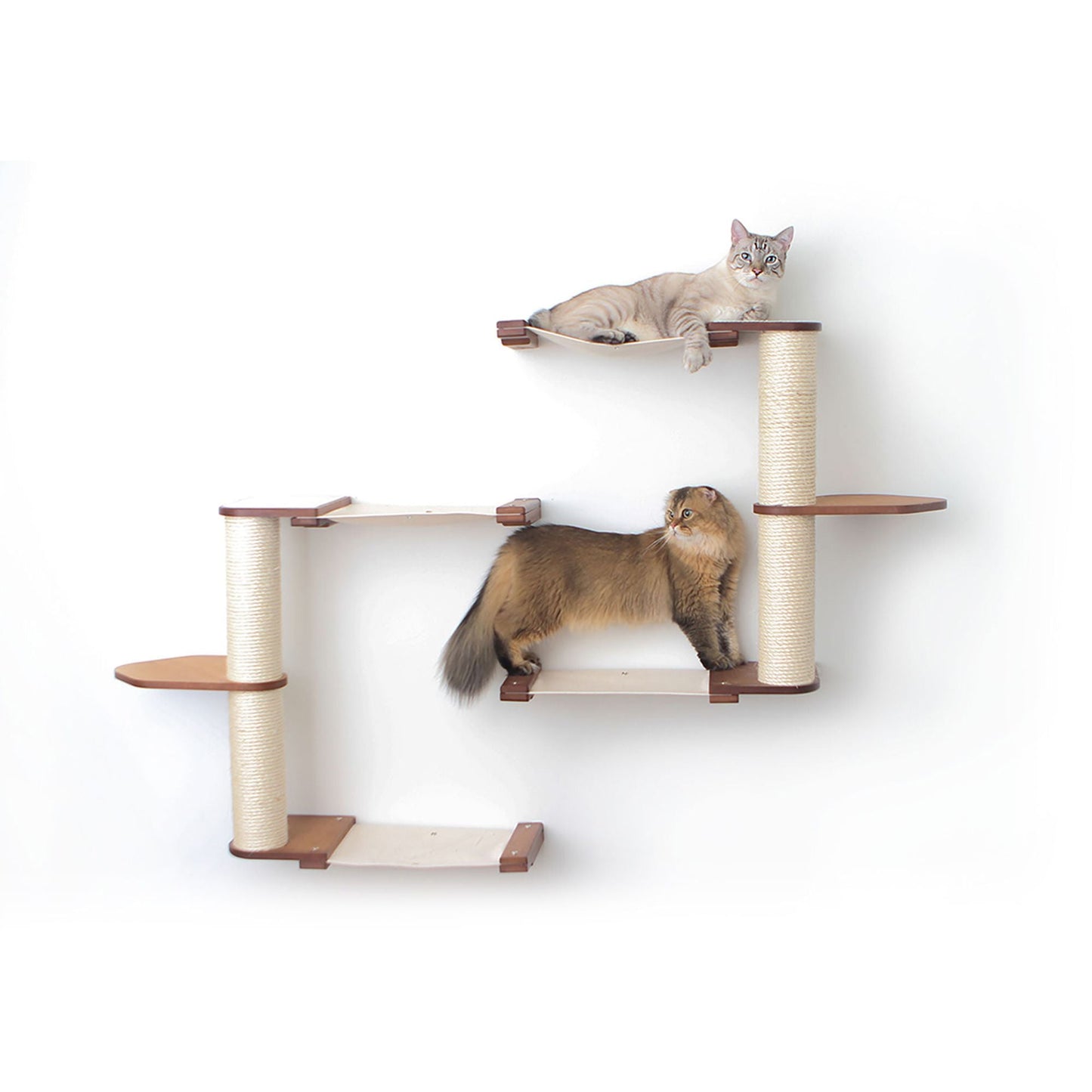 Wall-Mounted Cat Tree with Scratching Post & Hammock System