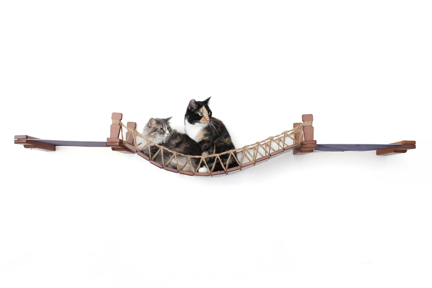 Double Cat Hammock Bridge - Suspension System with Climbing Platform