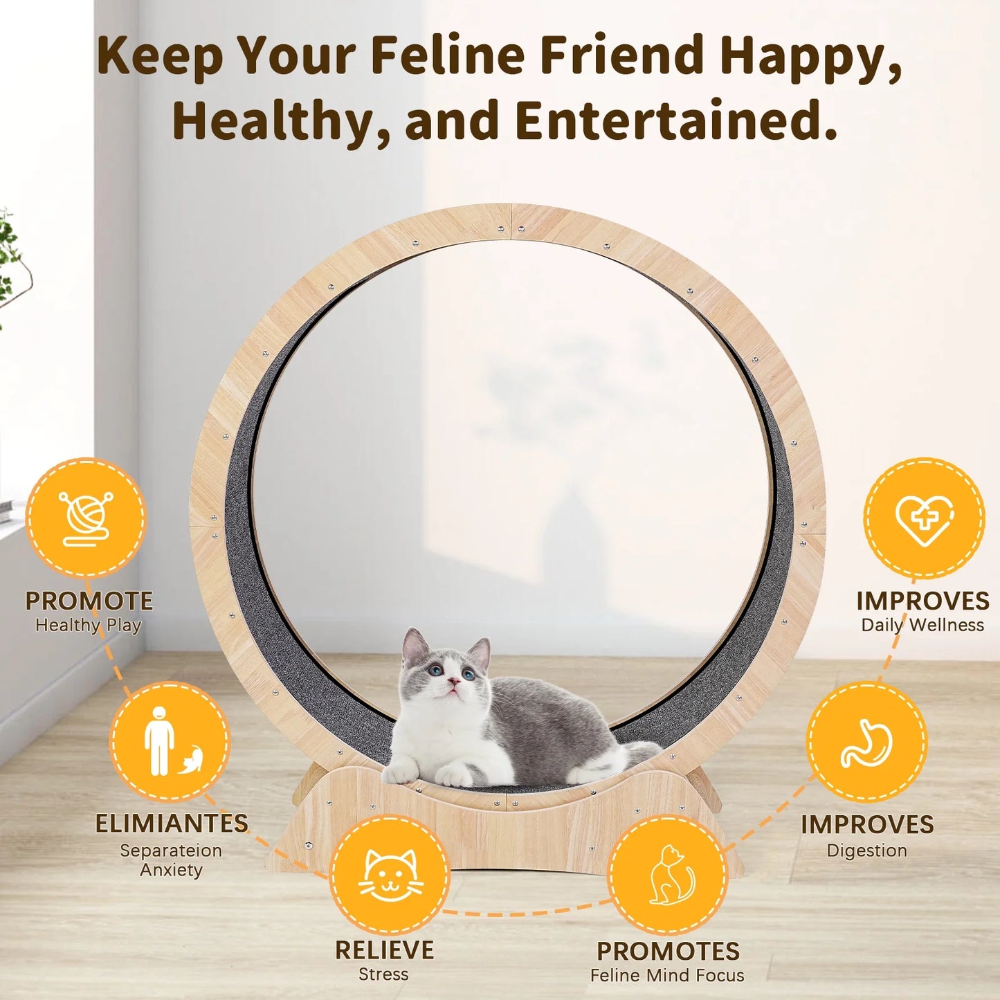 Wooden cat treadmill wheel with non-slip running surface, part of dog crate furniture and cat tree wall setup.