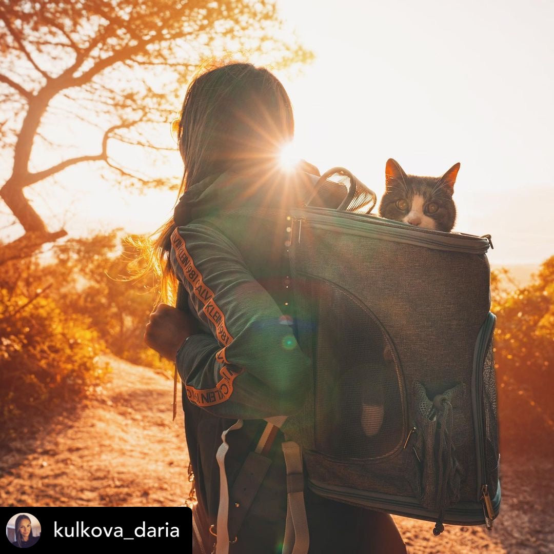 Pet Backpack Carrier Vertical Design (Vancouver Series)