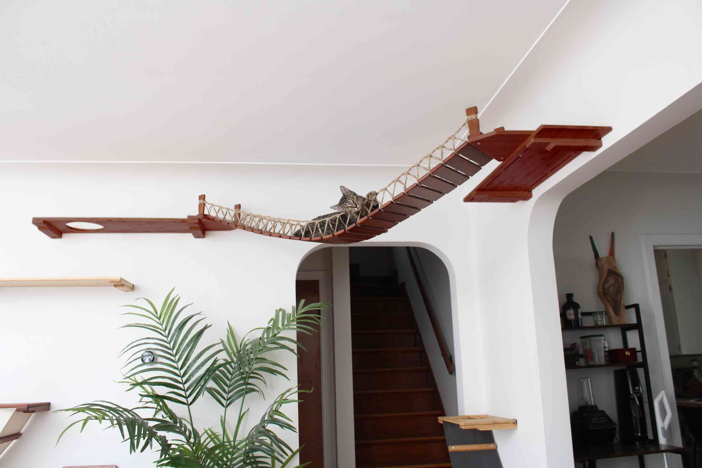 Corner Cat Bridge - Wall-to-Wall Connection System