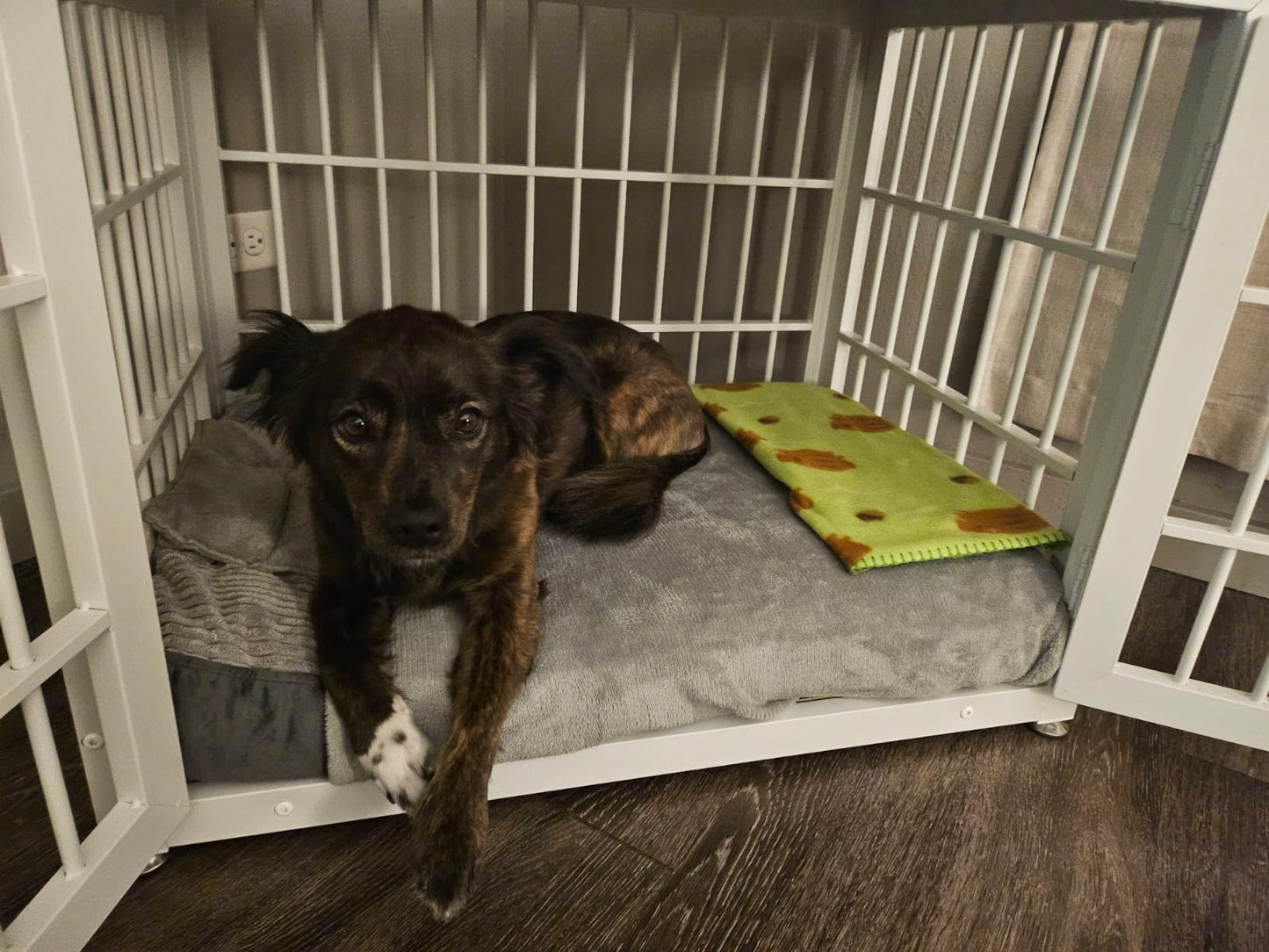 Double Door Dog Crate End Table