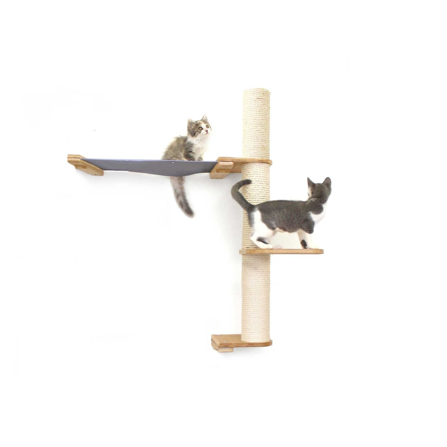 Tall natural bamboo cat tree wall with vertical scratching pole and charcoal gray canvas summit hammock.