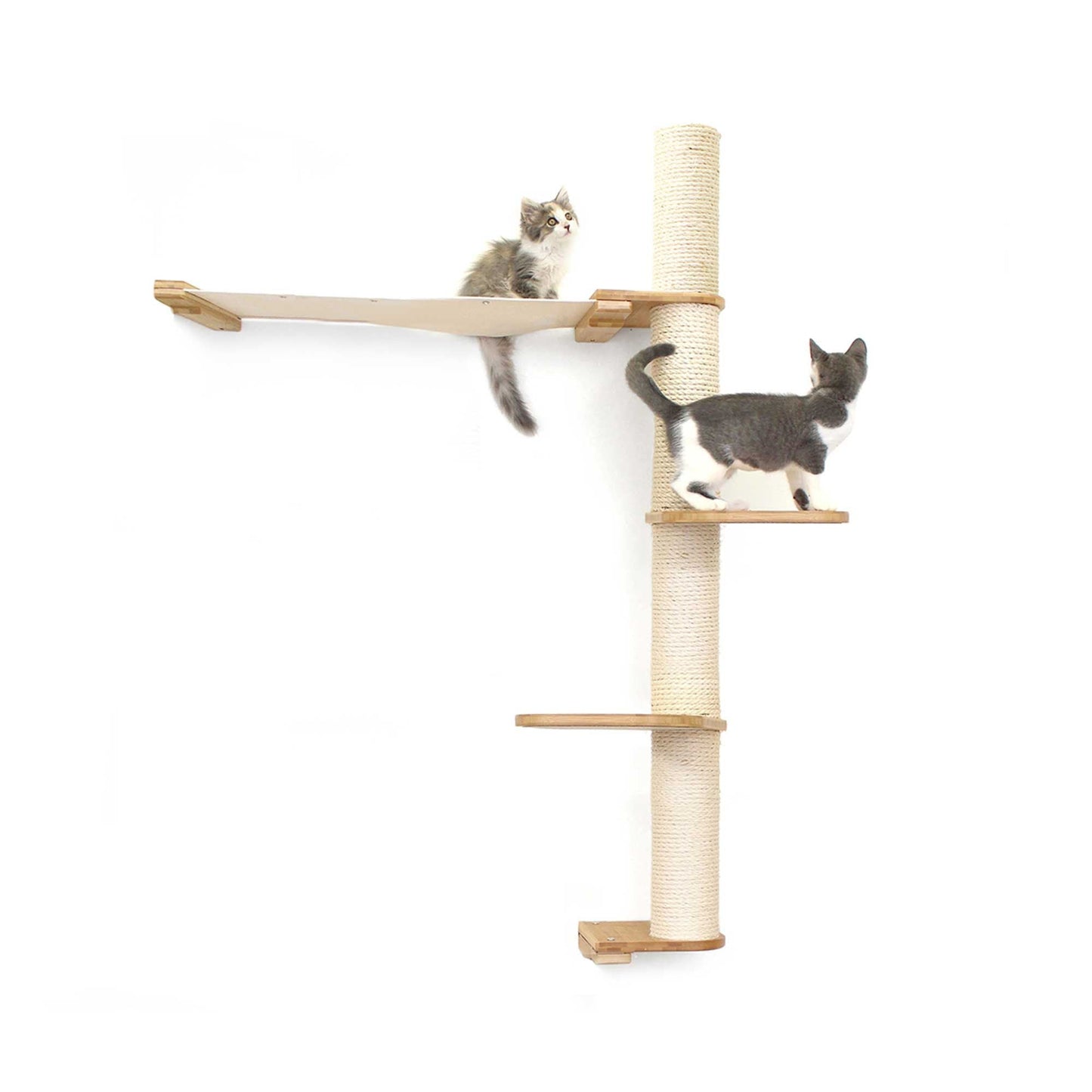 Tall cat perch with natural bamboo vertical scratching pole and canvas summit hammock, part of cat tree wall design.