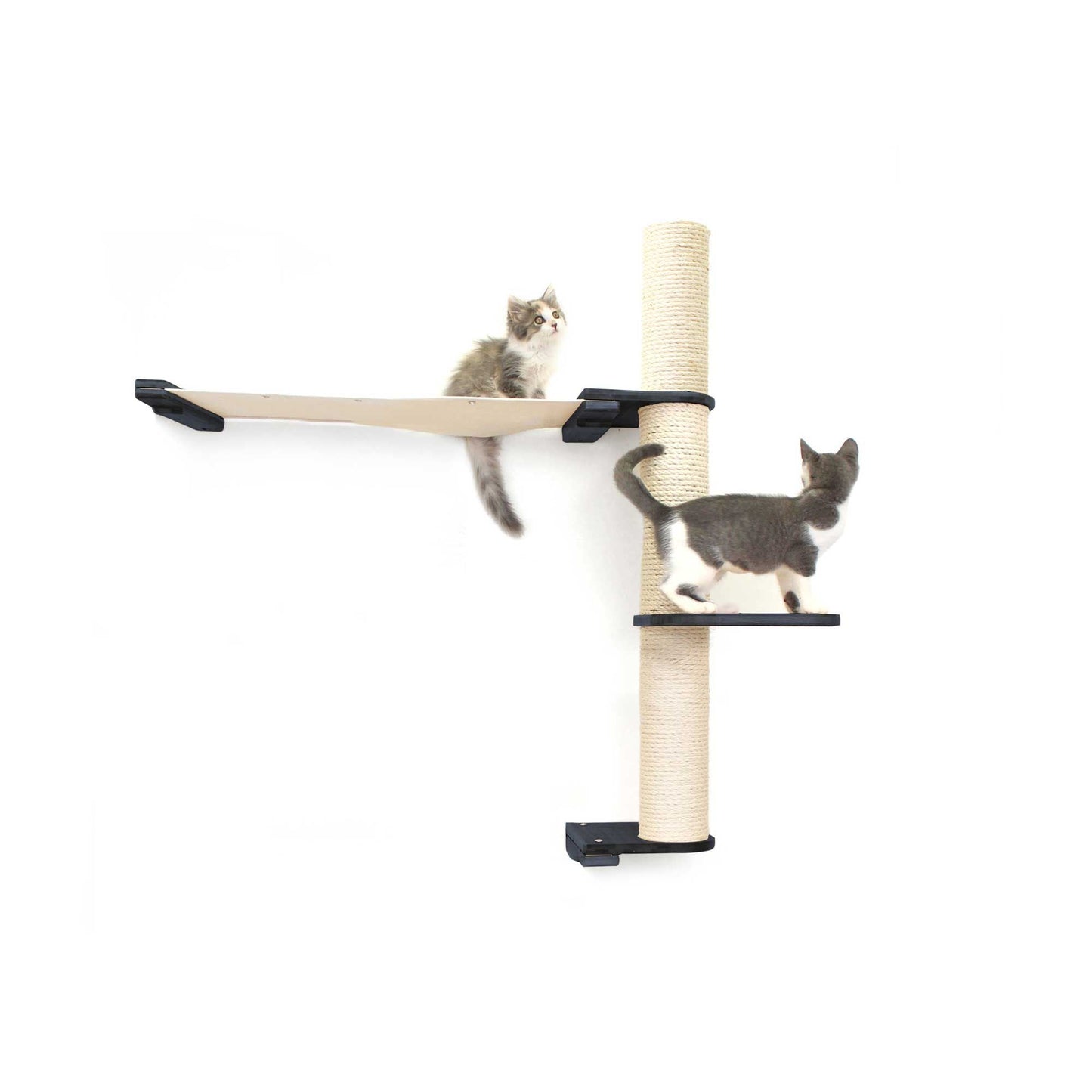 Onyx bamboo tall cat perch with vertical scratching pole and natural canvas summit hammock, part of cat tree wall setup.