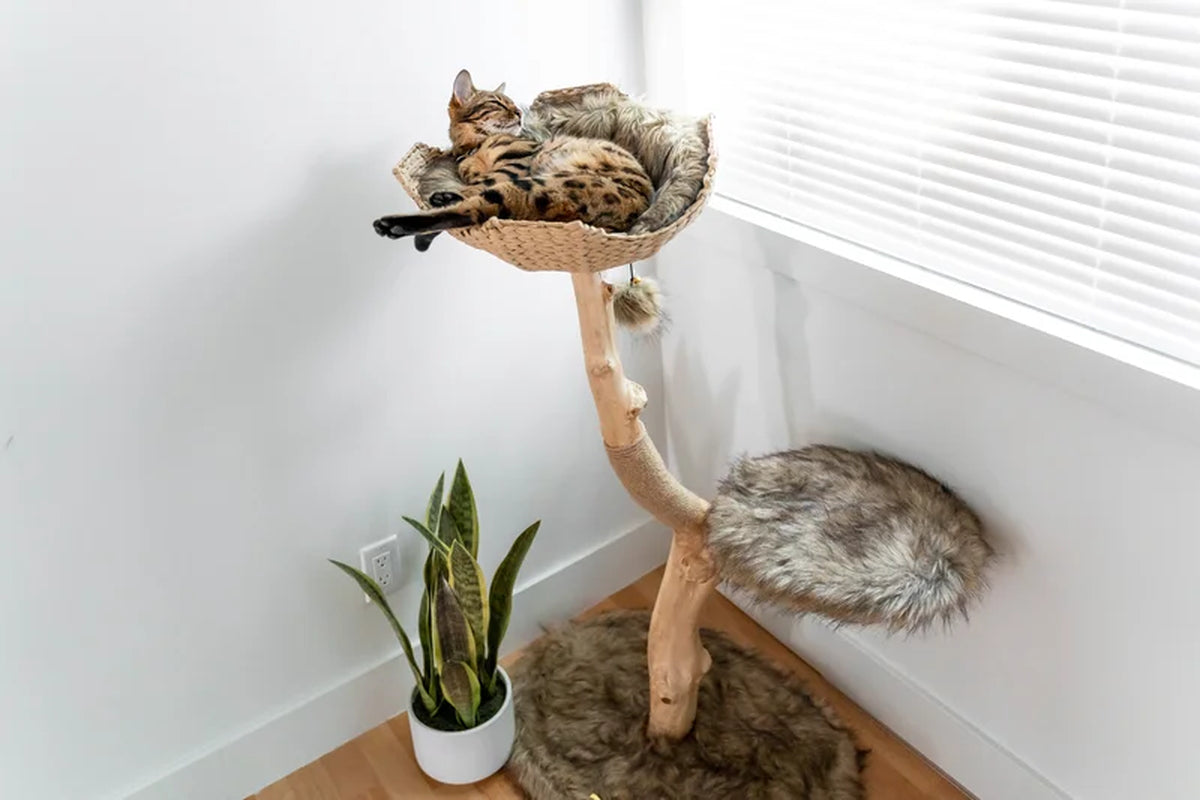 Lina 46'' H Cat Tree