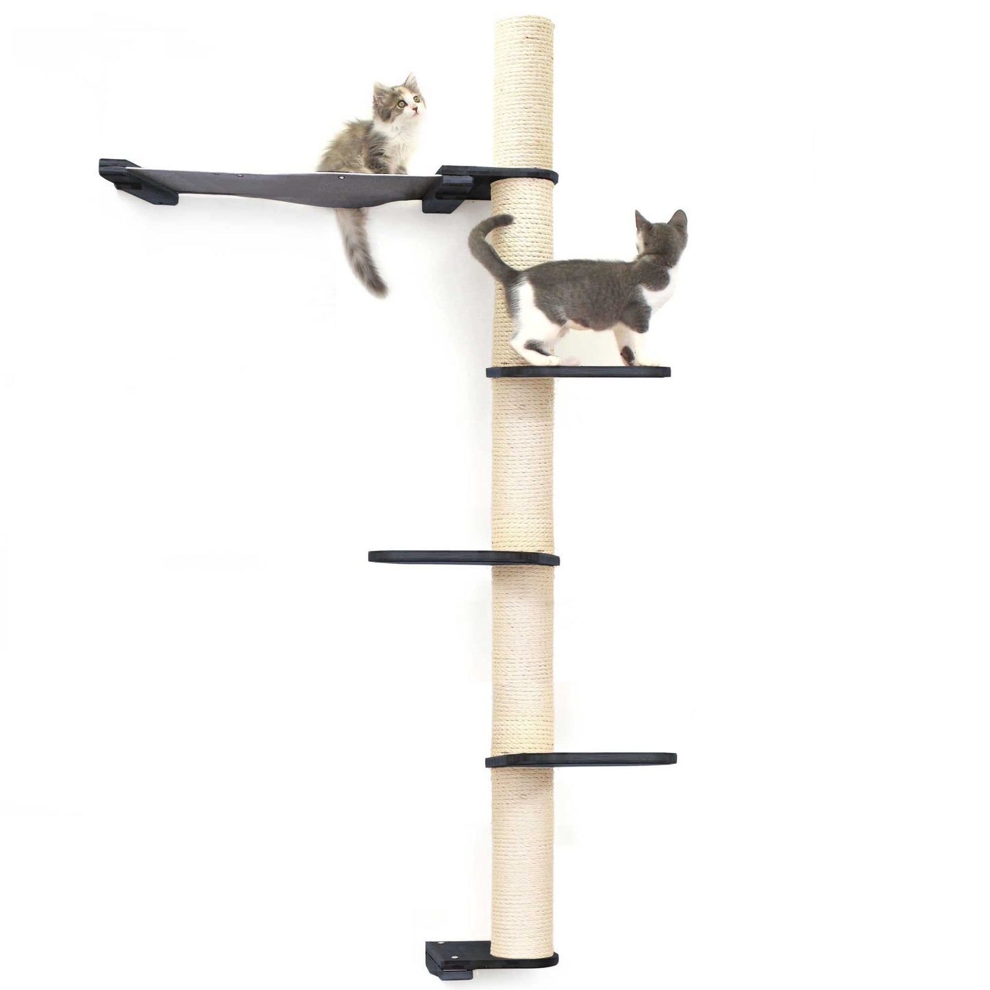 Tall vertical cat perch with onyx bamboo scratching pole, three black canvas hammock tiers, ideal for cat tree wall and dog.