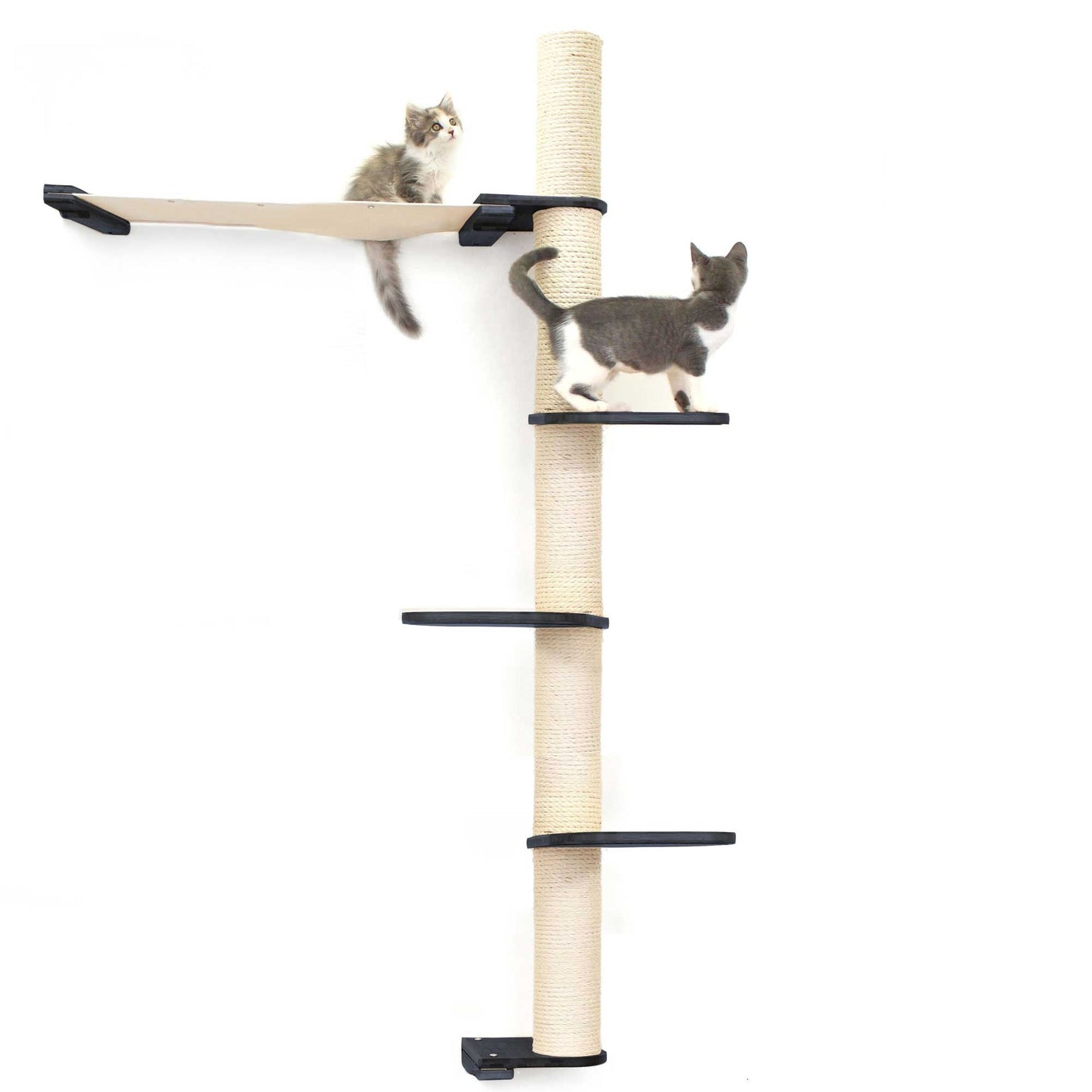 Tall cat perch with natural bamboo vertical scratching pole and summit hammock, part of cat tree wall design.