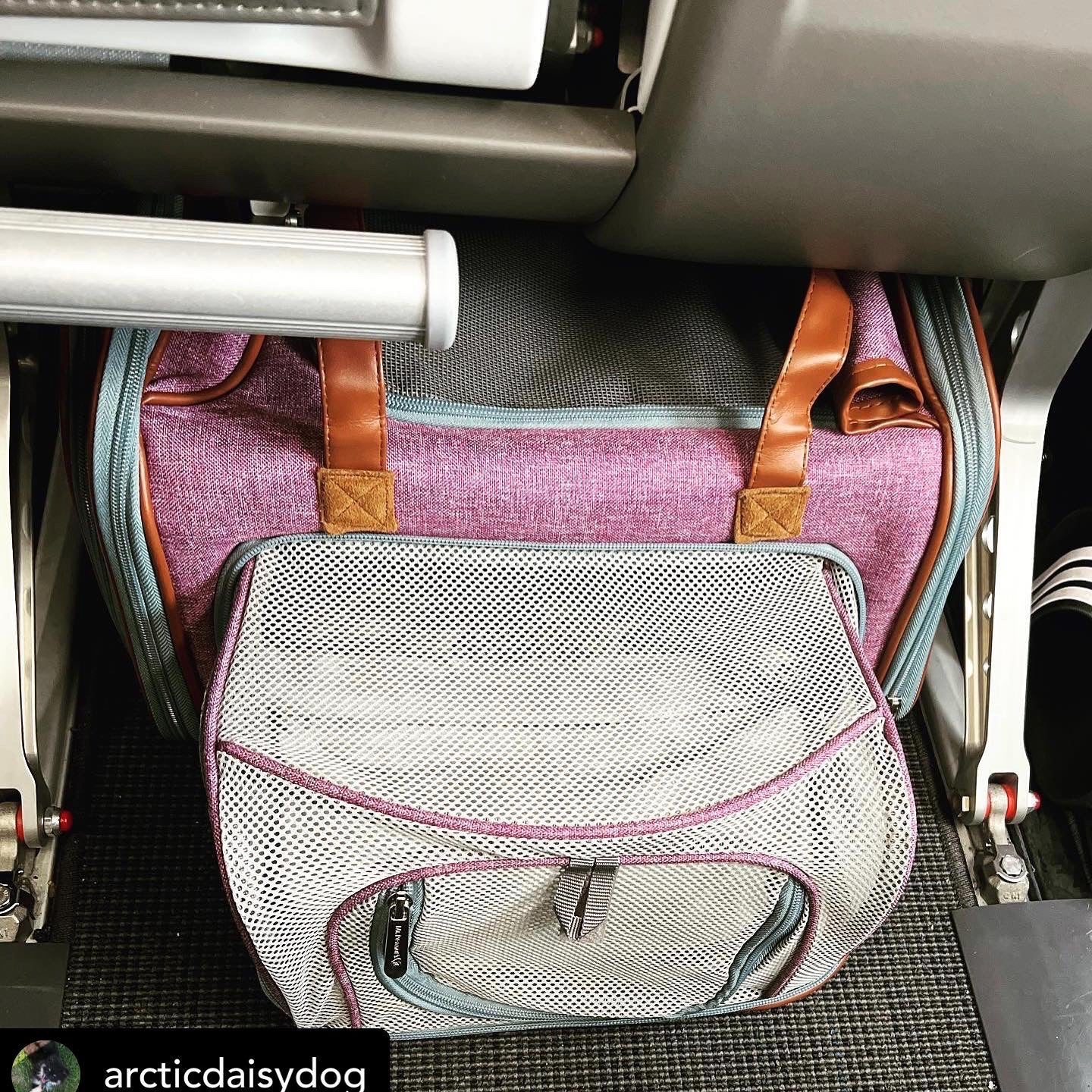 Double Expandable Airline Approved Pet Carrier – XL Size, Soft-Sided