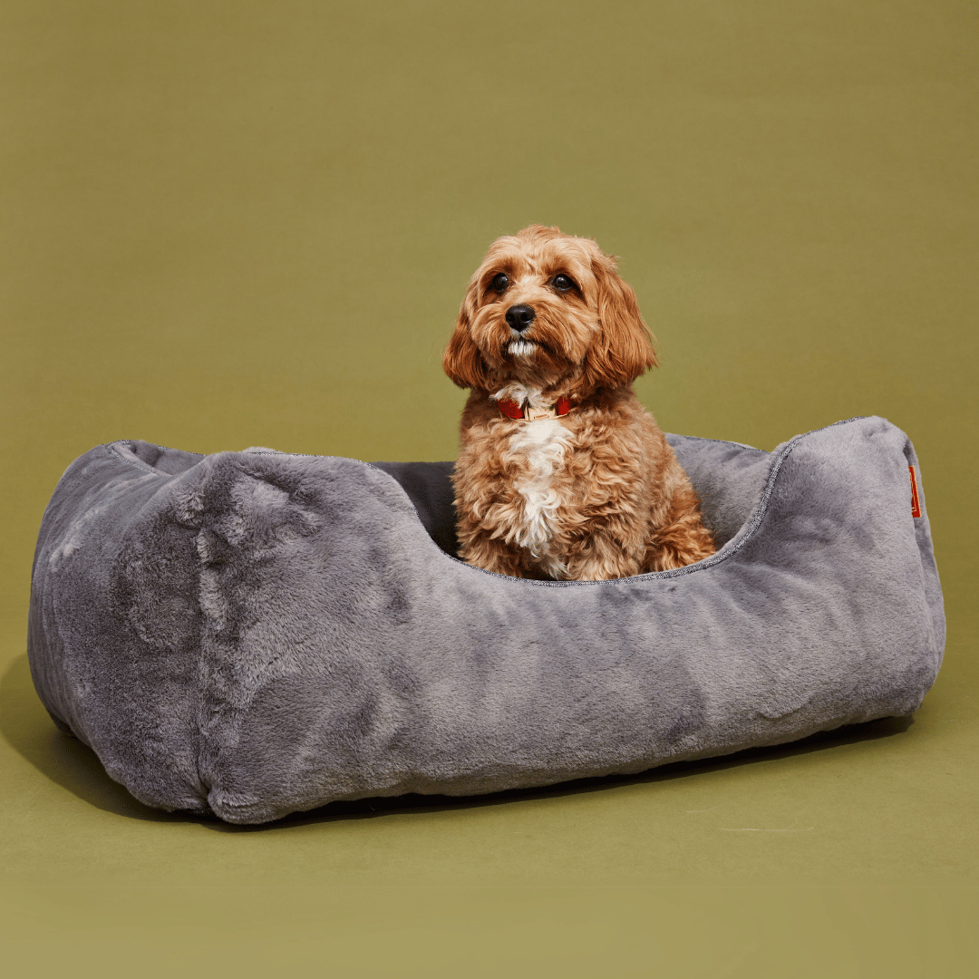 Orthopedic Bolster Dog Bed – Faux Fur, Removable Cover (Dark Grey)
