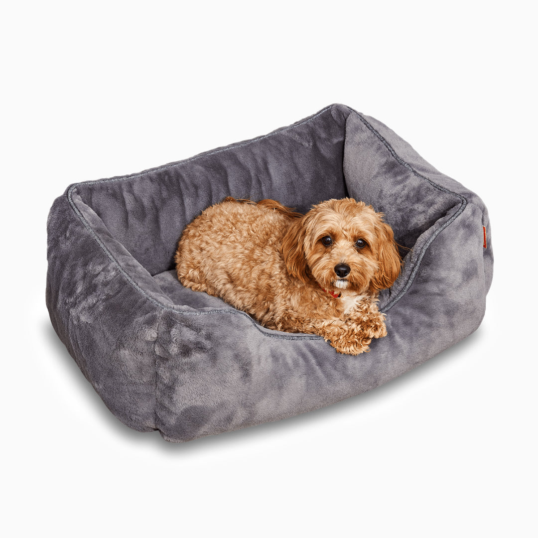A cute dog lying in a plush grey pet bed.