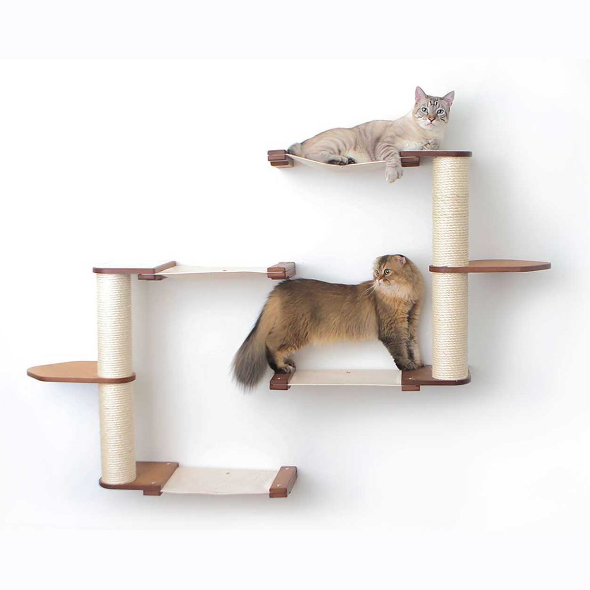 Wall-Mounted Cat Tree with Scratching Post & Hammock System