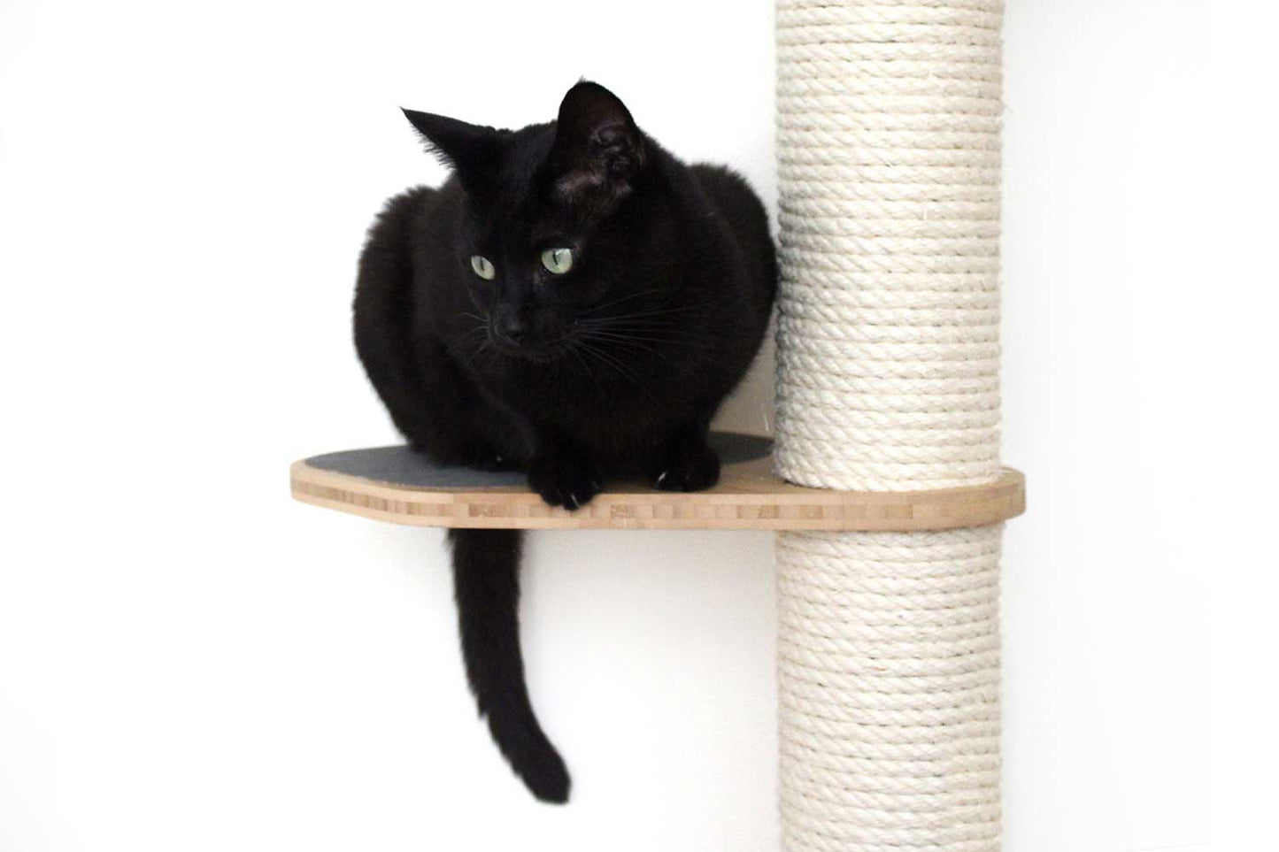 Black cat resting on a natural bamboo tier of a tall cat perch with vertical scratching pole and hammock.