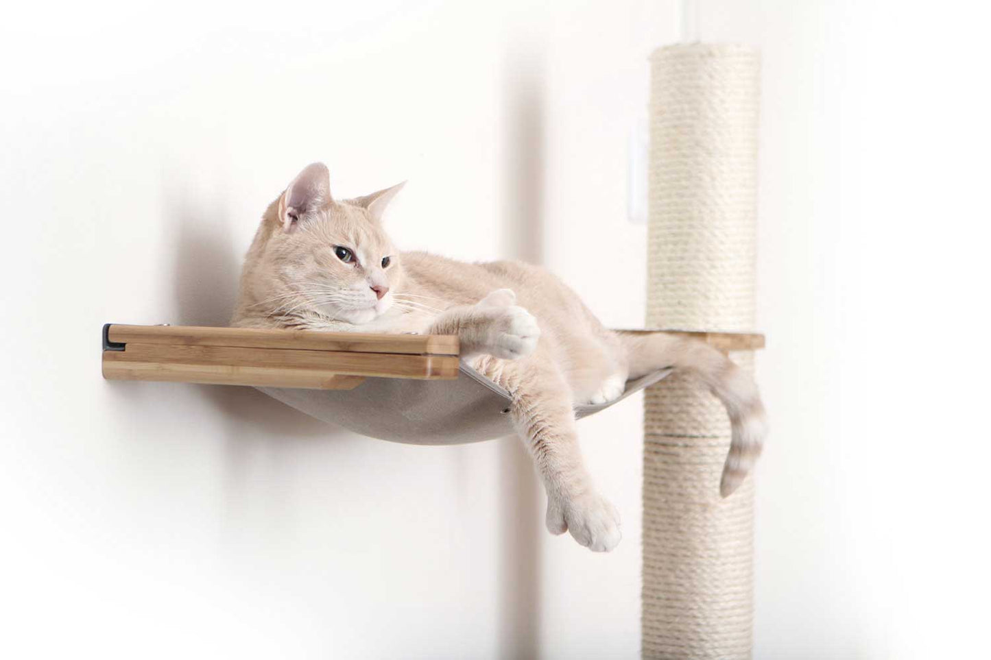 Onyx bamboo tall cat perch with natural canvas summit hammock and vertical scratching pole, mounted on wall.