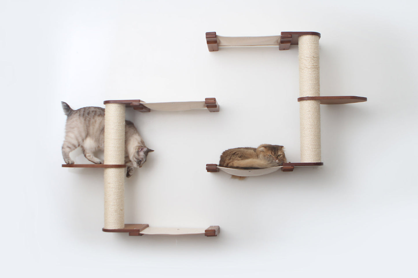 Wall-Mounted Cat Tree with Scratching Post & Hammock System