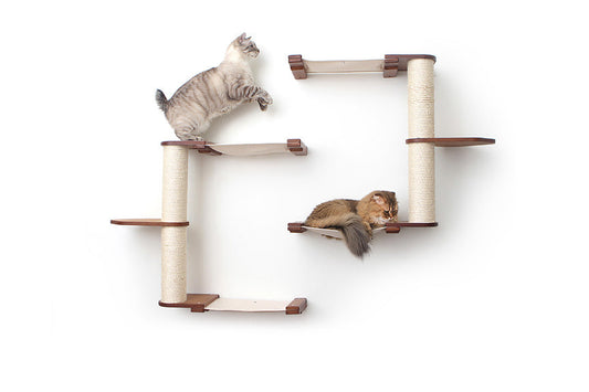 Wall-Mounted Cat Tree with Scratching Post & Hammock System