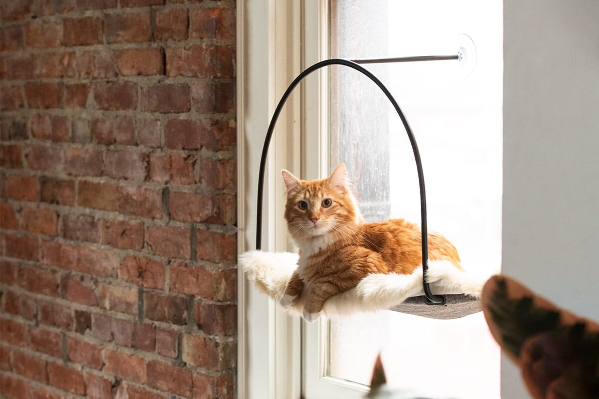 Cat Window Hammock with Suction Cups - 30lb Capacity Elevated Perch for Glass Windows