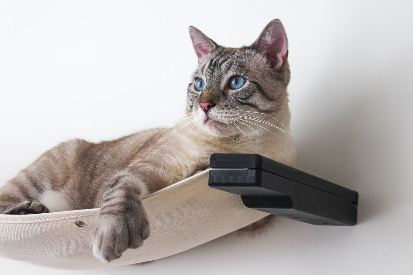 Dual Wall Mounted Cat Hammock