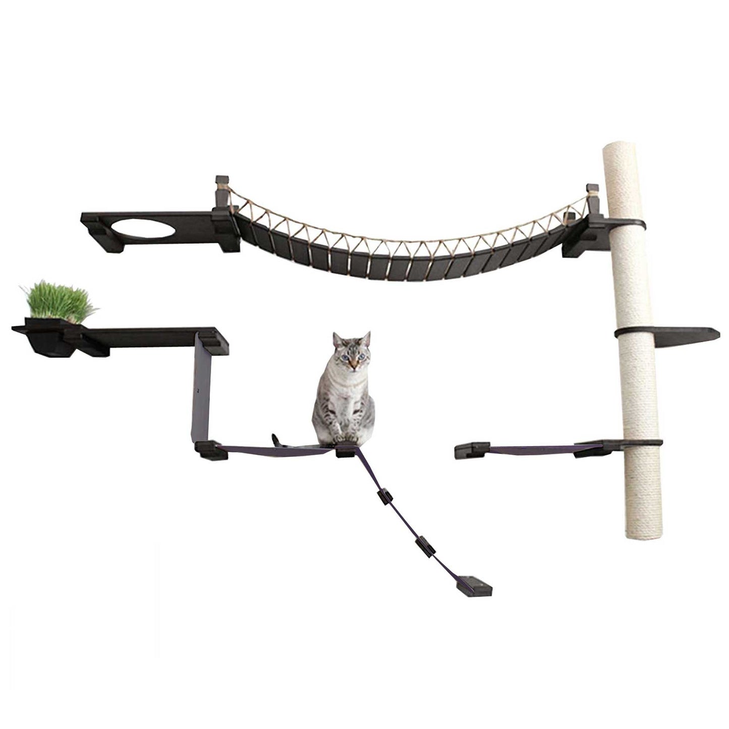 Cat Jungle Gym - Compact Activity System for Active Cats