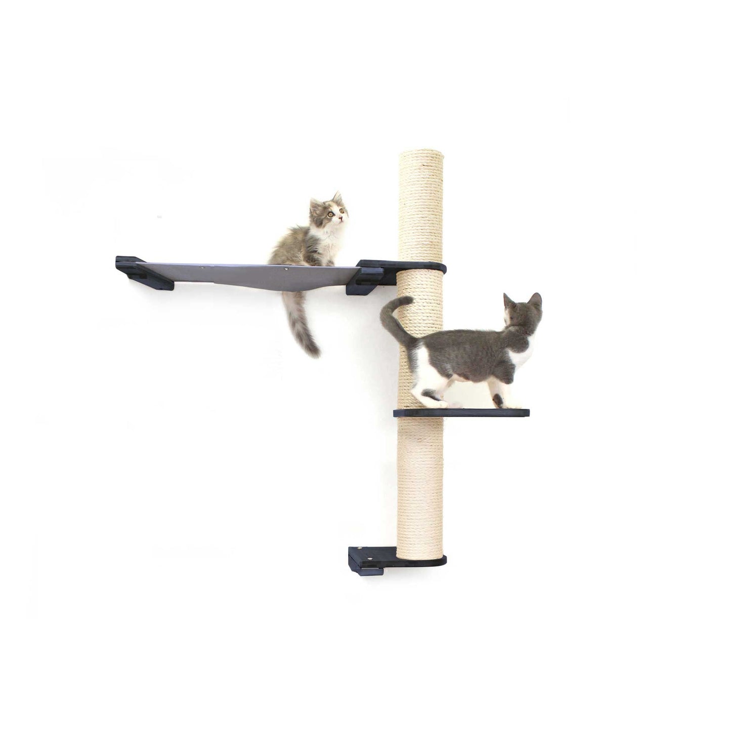 Onyx bamboo vertical scratching pole with natural canvas summit hammock and platform, part of cat tree wall.