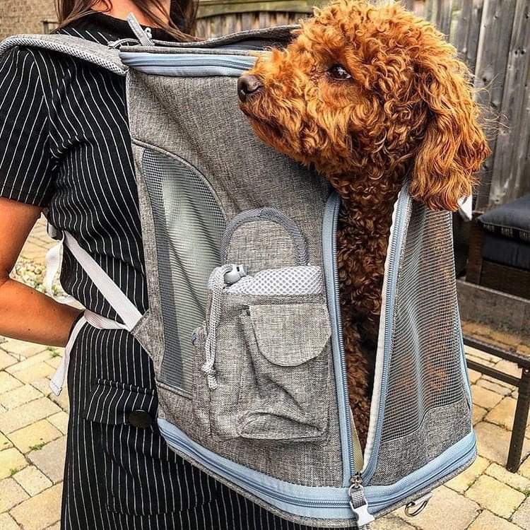 Pet Backpack Carrier Vertical Design (Vancouver Series)