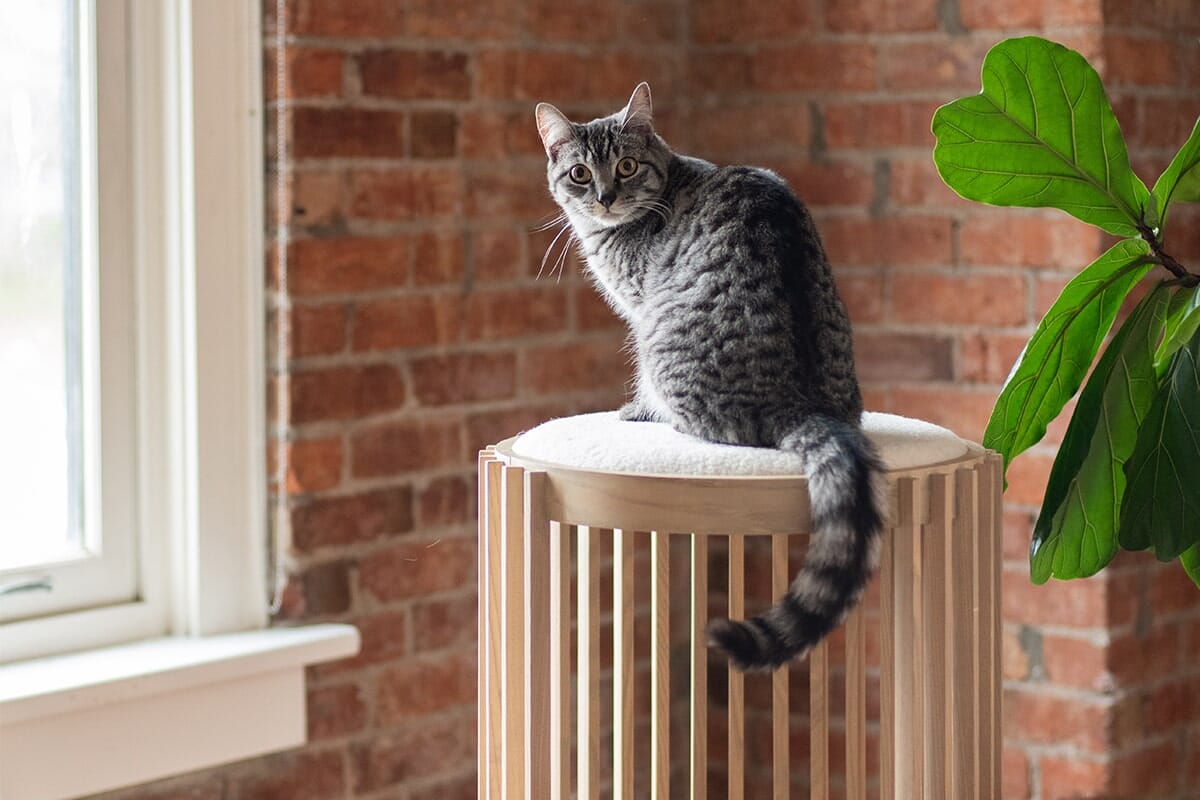 Modern Cat Tree with Faux Shearling Top & Slatted Design