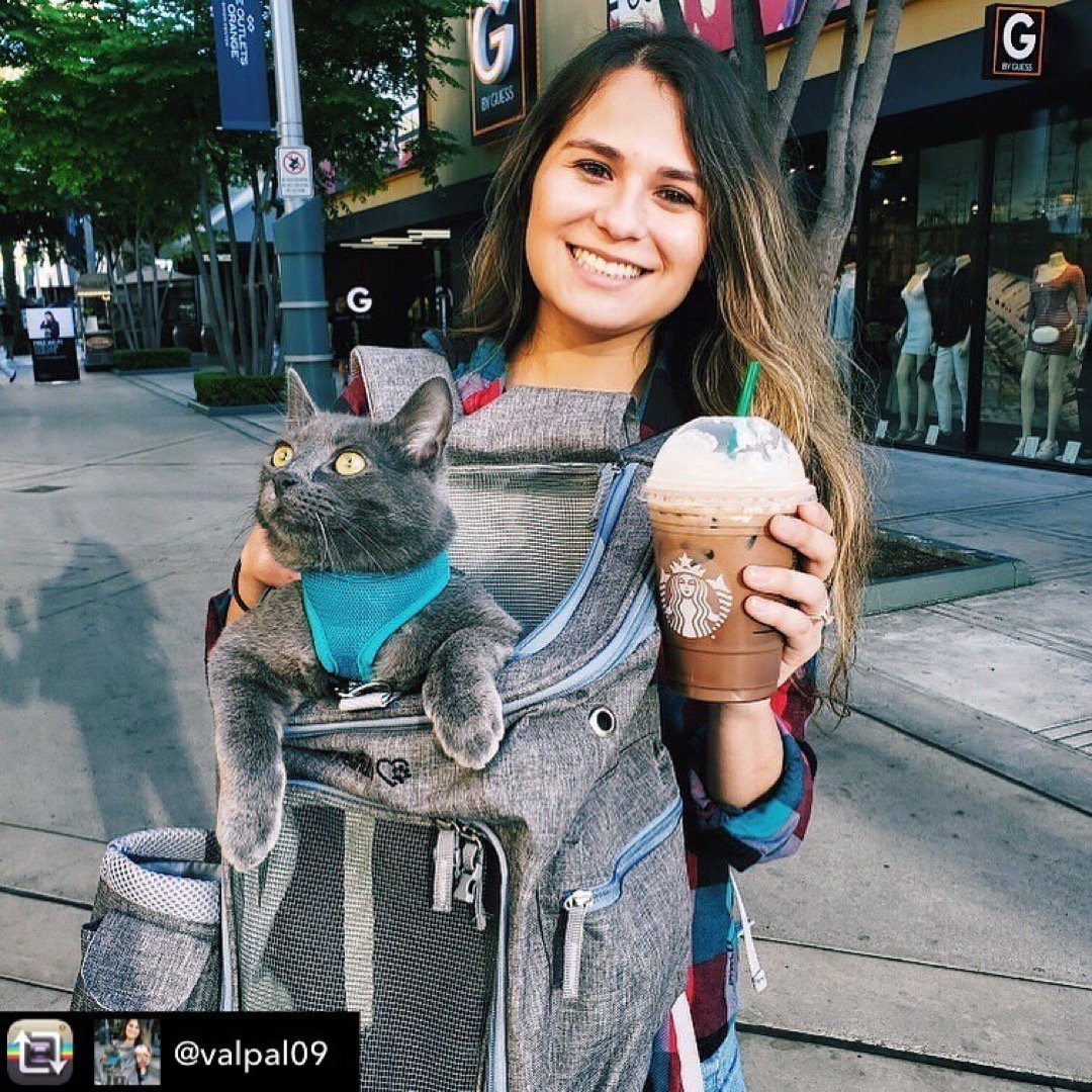 Pet Backpack Carrier Vertical Design (Vancouver Series)