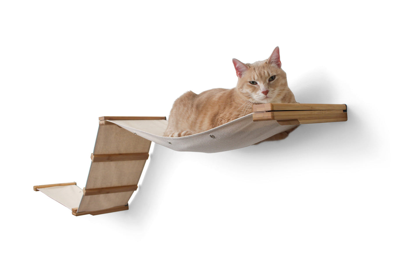 Dual Wall Mounted Cat Hammock
