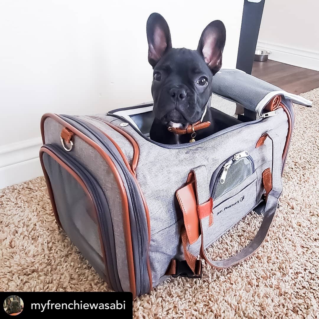 Airline Pet Carrier Soft-Sided Standard (Gold Series)