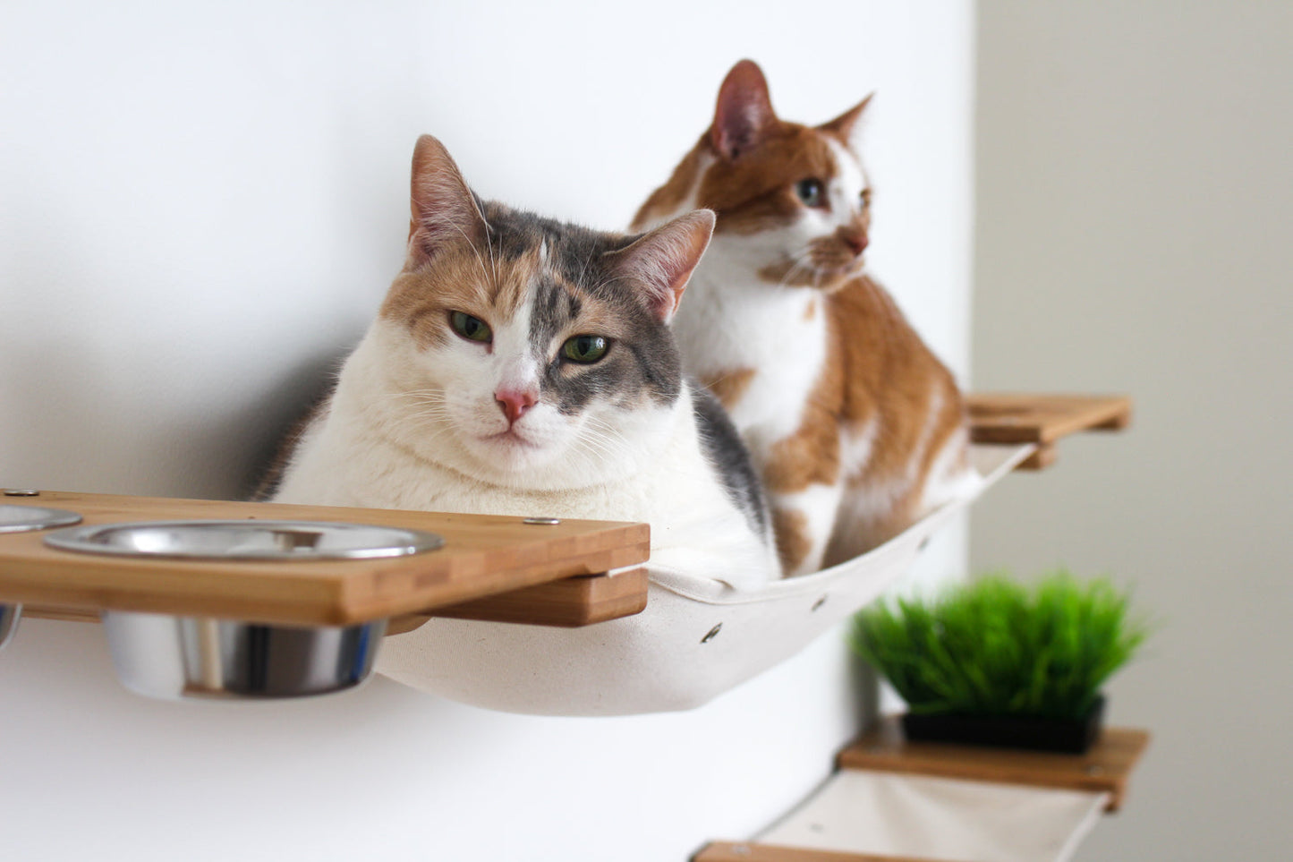 Multi-Level Cat Activity Center - Wide Layout Climbing System