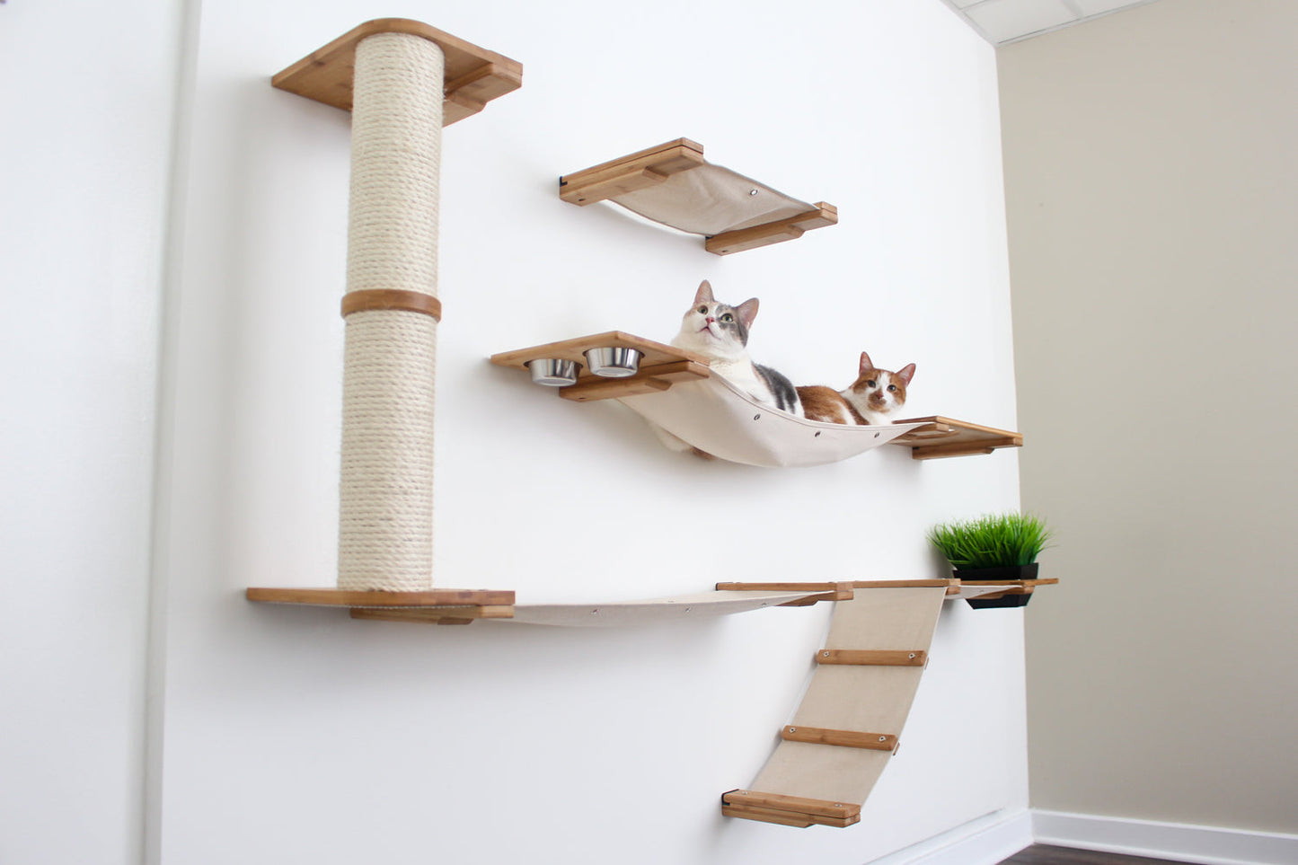 Multi-Level Cat Activity Center - Wide Layout Climbing System