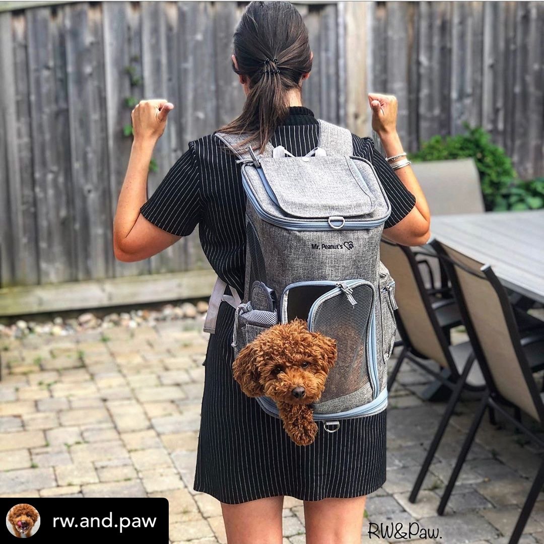 Pet Backpack Carrier Vertical Design (Vancouver Series)