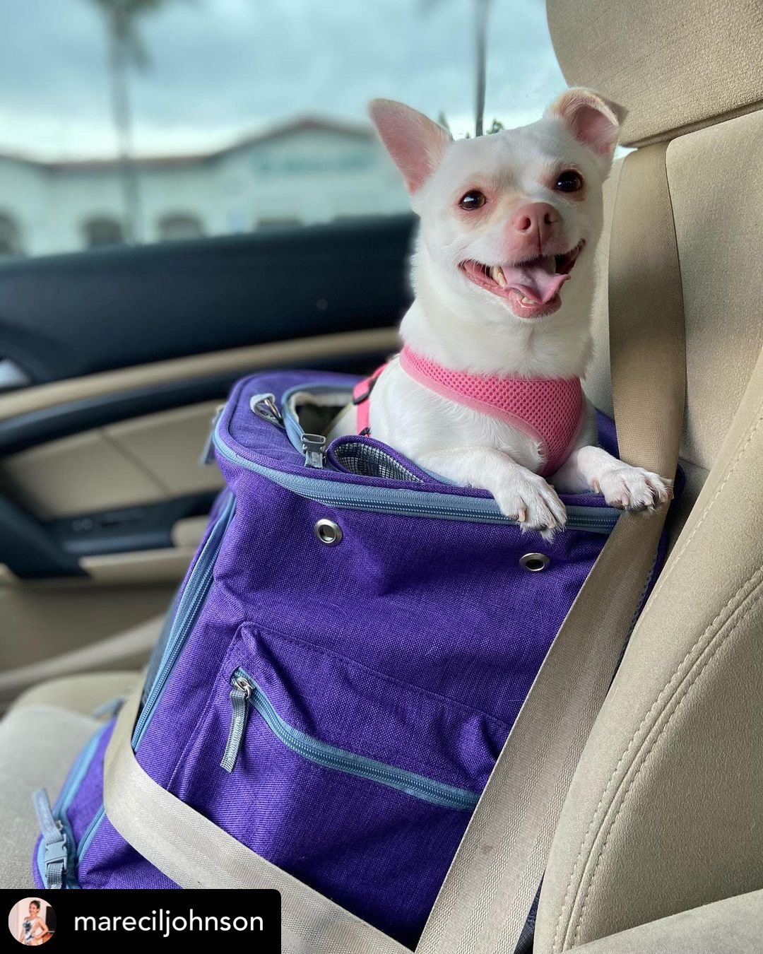 Pet Backpack Carrier Vertical Design (Vancouver Series)