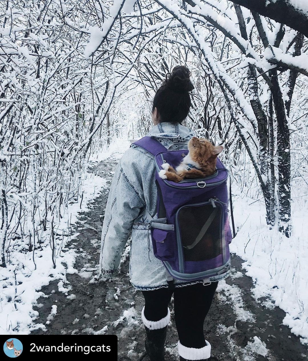 Pet Backpack Carrier Vertical Design (Vancouver Series)