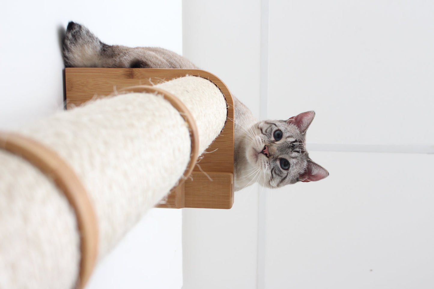 Wall Mounted Cat Scratching Pole with Sisal - Vertical Climbing Tower for Small Spaces