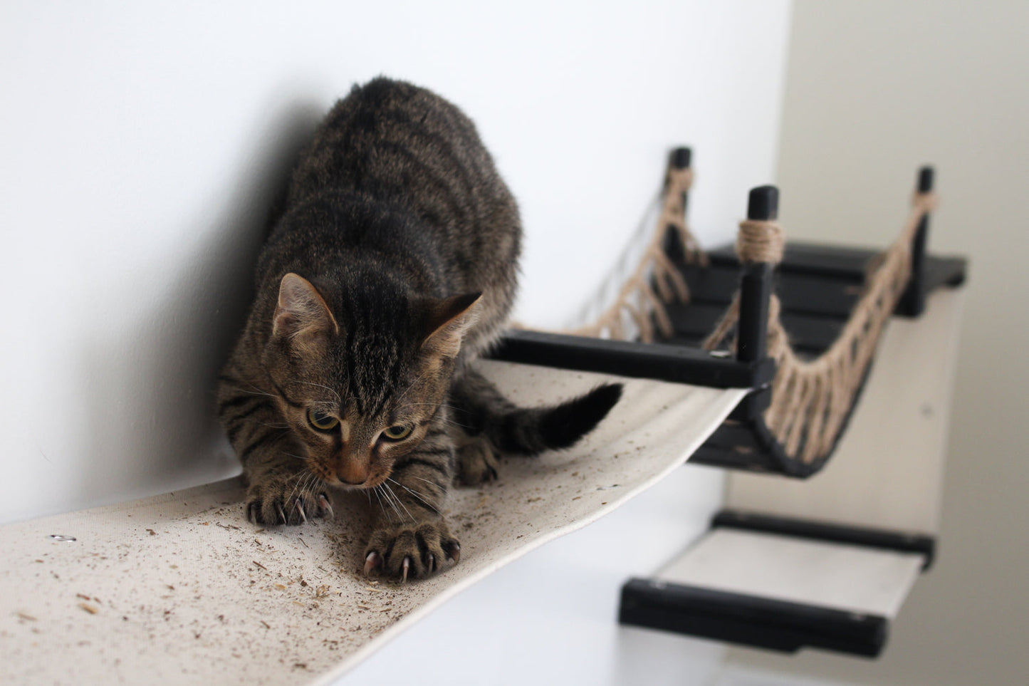 Wide Cat Condo - Multi-Cat Comfort System with Bridge Connection