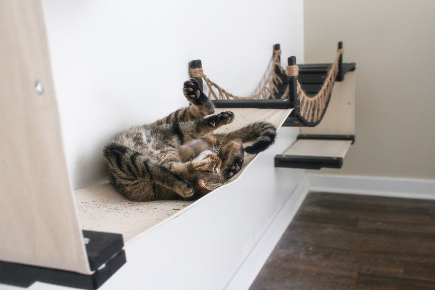 Wide Cat Condo - Multi-Cat Comfort System with Bridge Connection