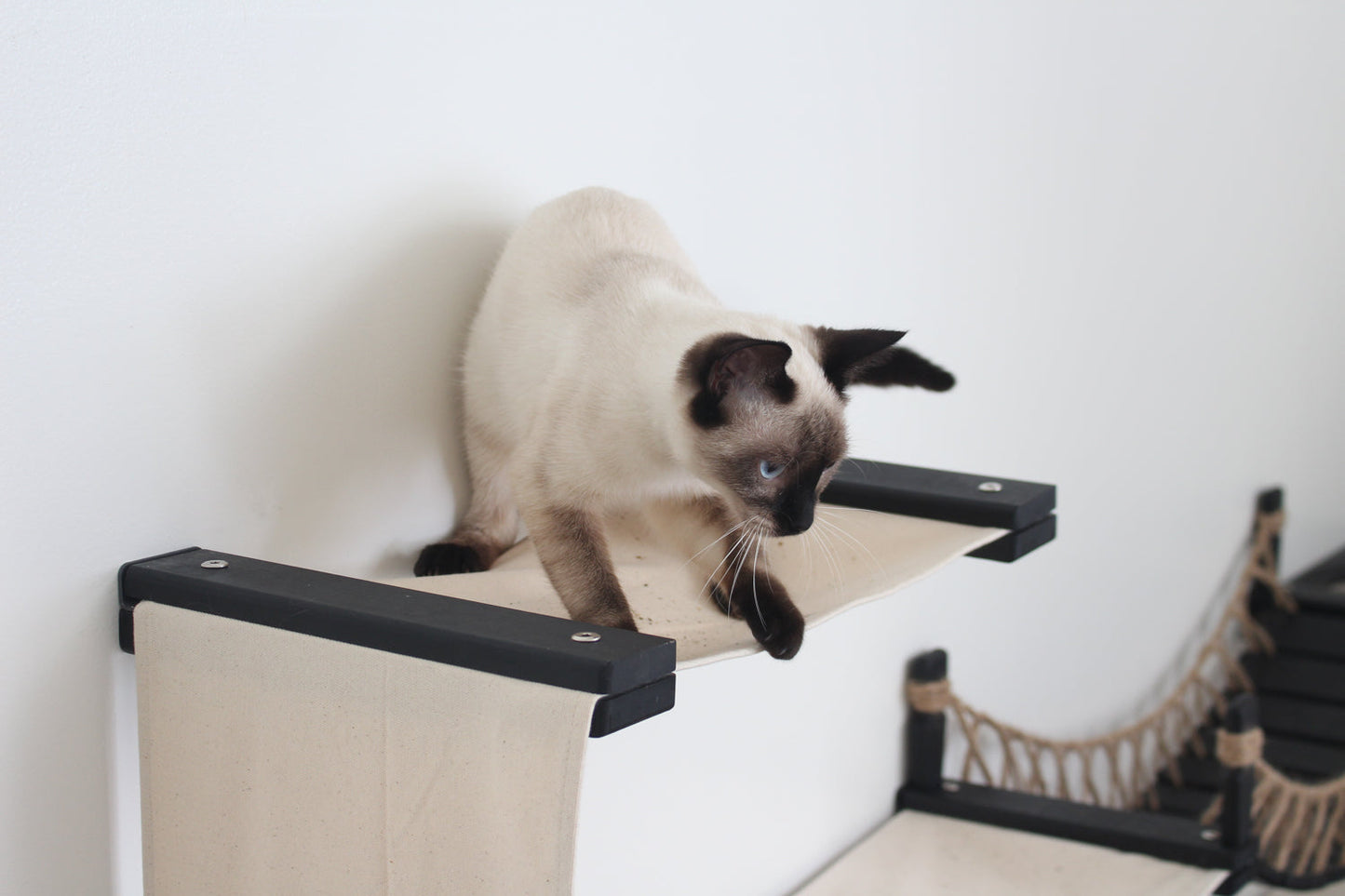 Wide Cat Condo - Multi-Cat Comfort System with Bridge Connection