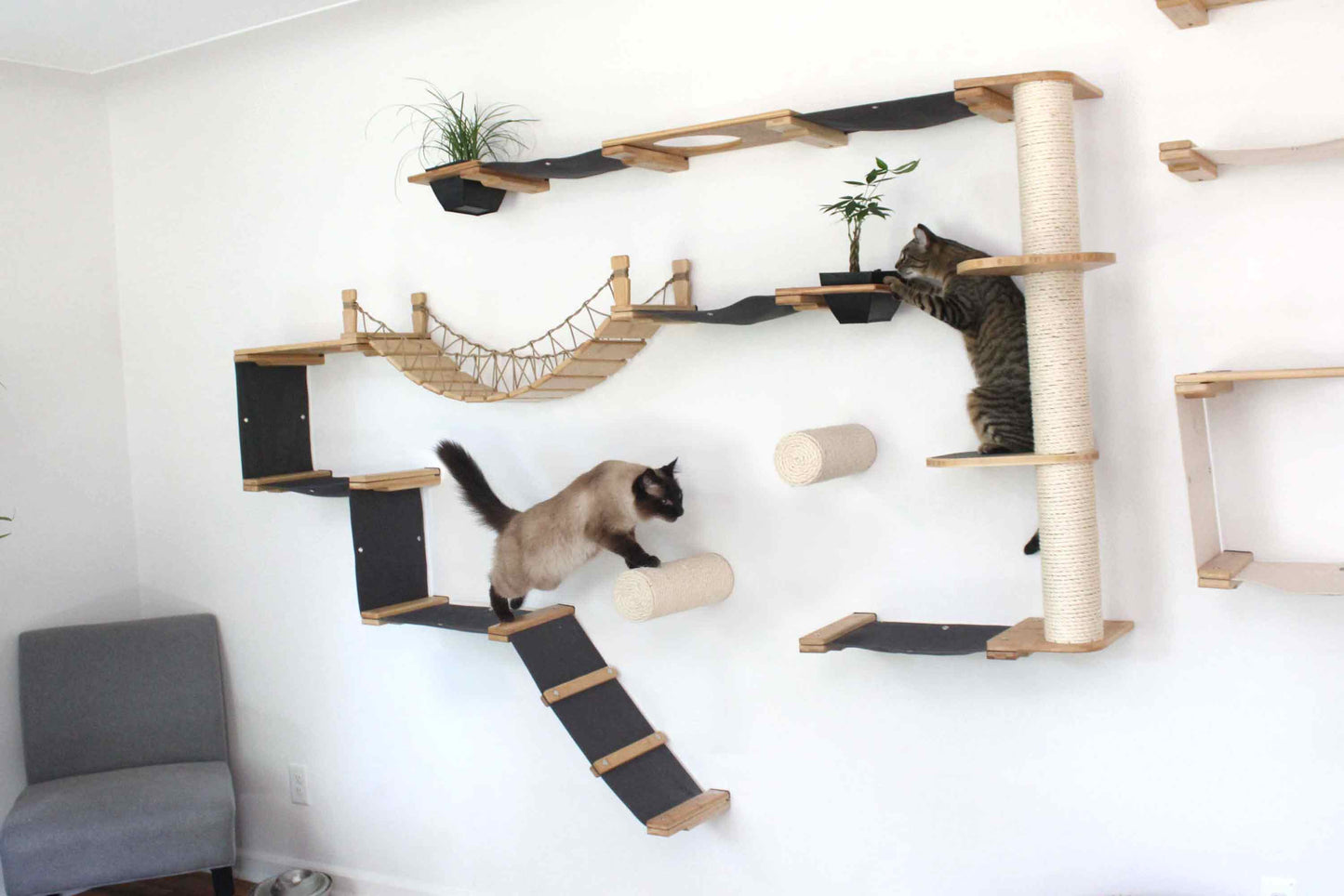 Ultimate Cat Playground - Complete Wall-Mounted Adventure System