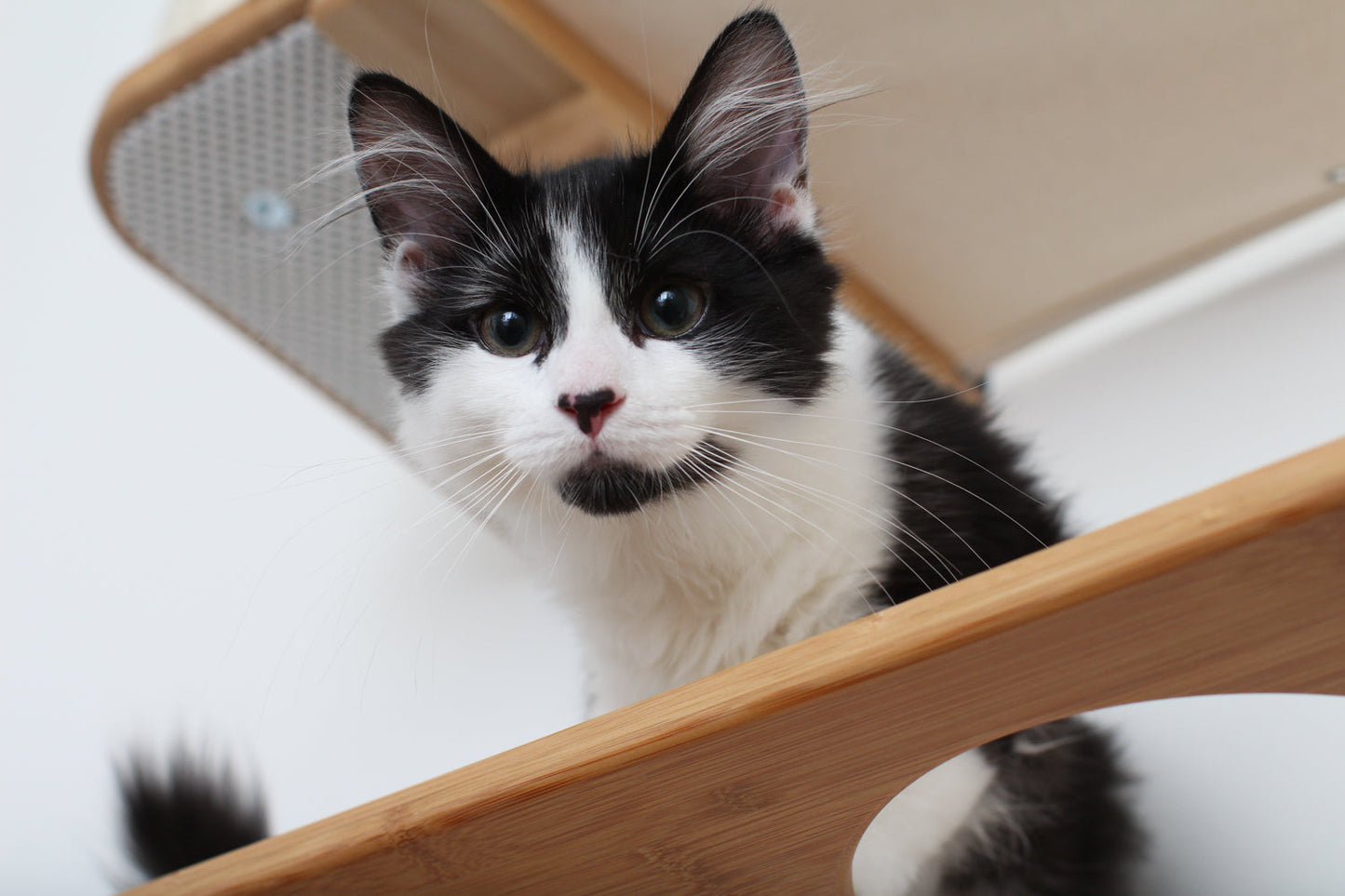 Multi-Level Cat Activity Center - Wide Layout Climbing System