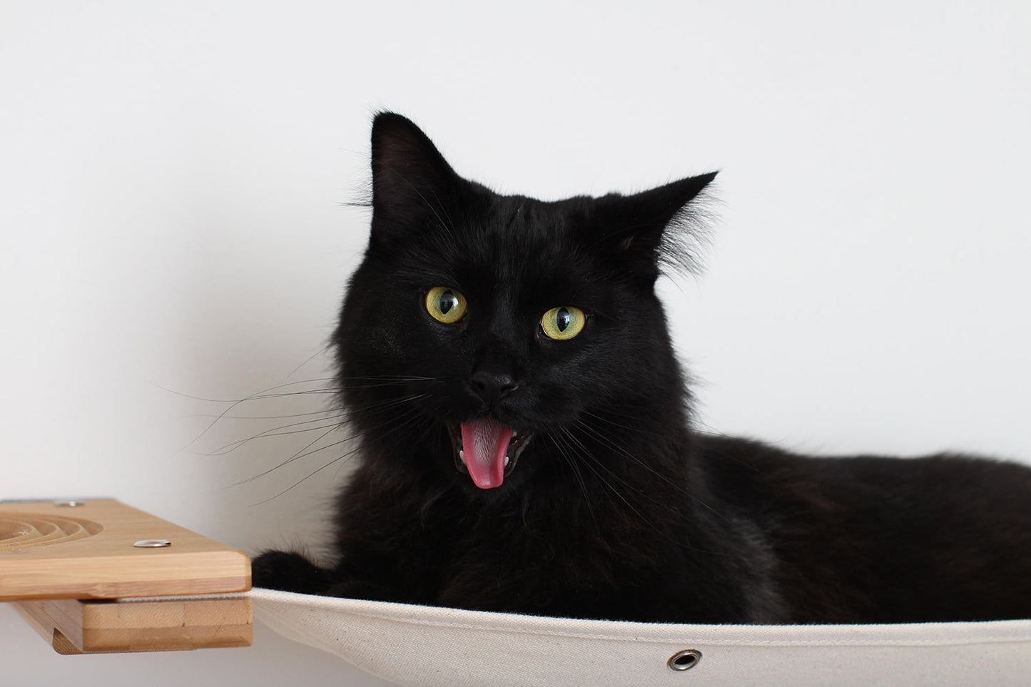 Cat Puzzle Wall System - 3-Tier Mental Stimulation Maze