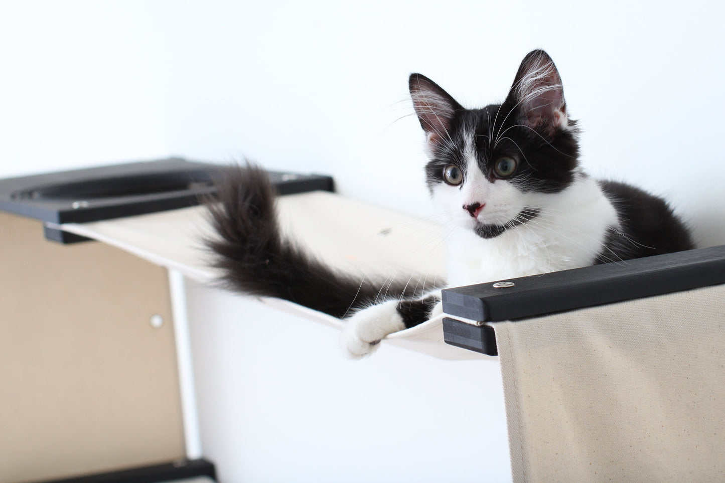 Cat Puzzle Wall System - 3-Tier Mental Stimulation Maze