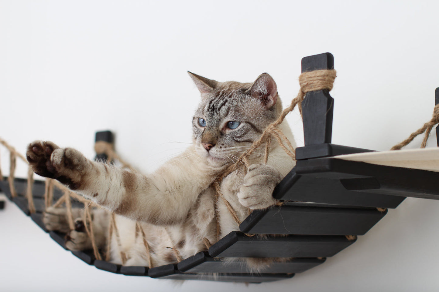 Double Cat Hammock Bridge - Suspension System with Climbing Platform