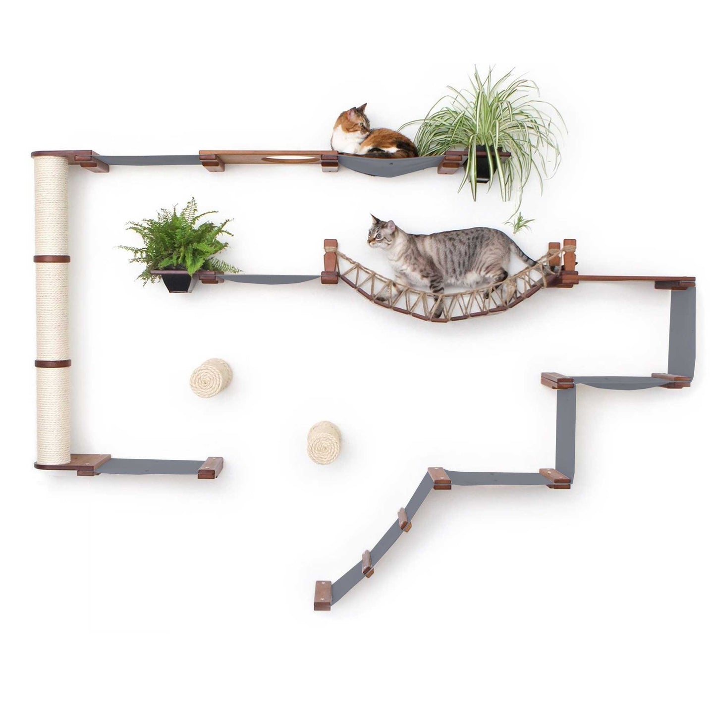 Ultimate Cat Playground - Complete Wall-Mounted Adventure System