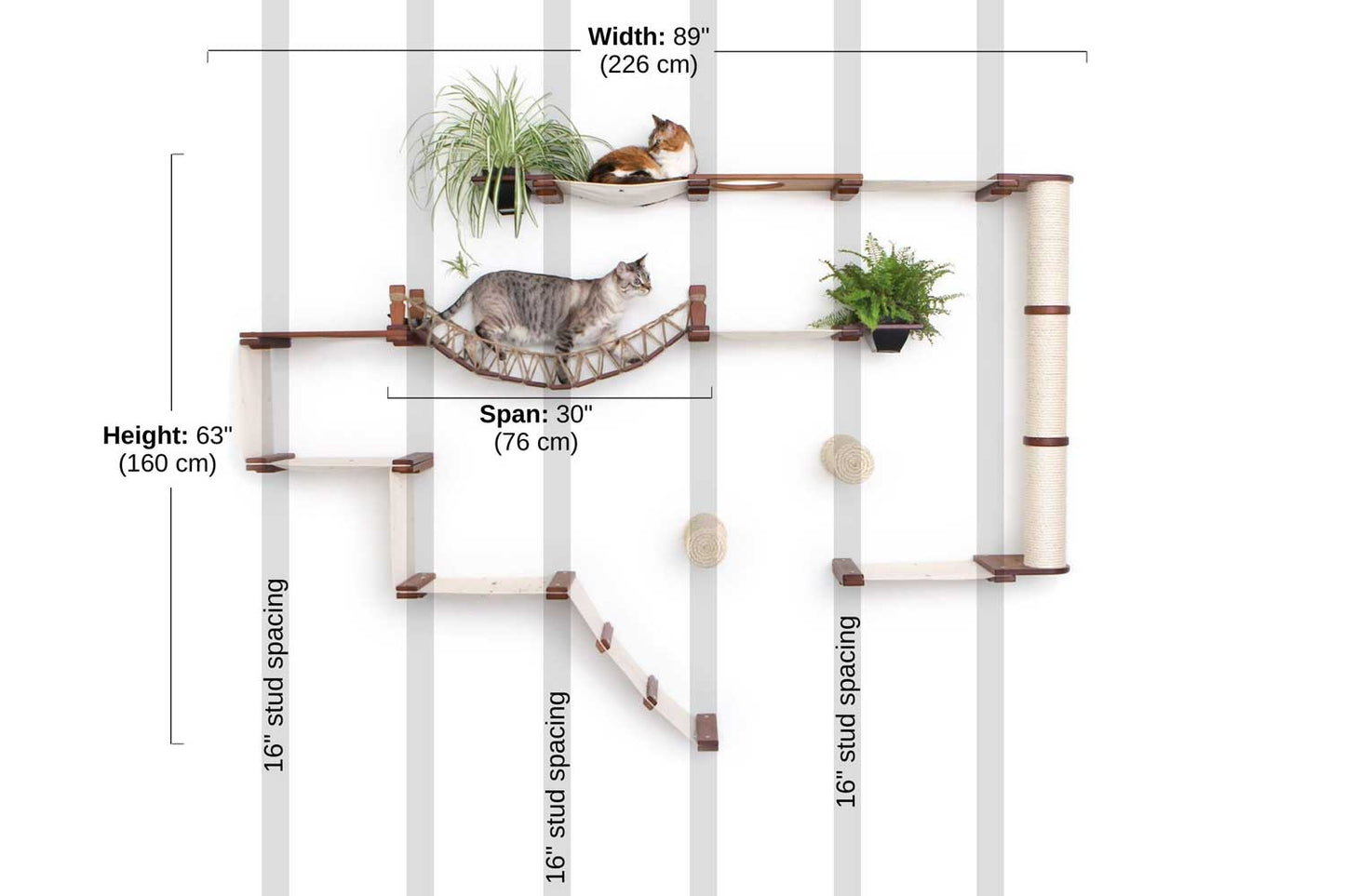 Ultimate Cat Playground - Complete Wall-Mounted Adventure System
