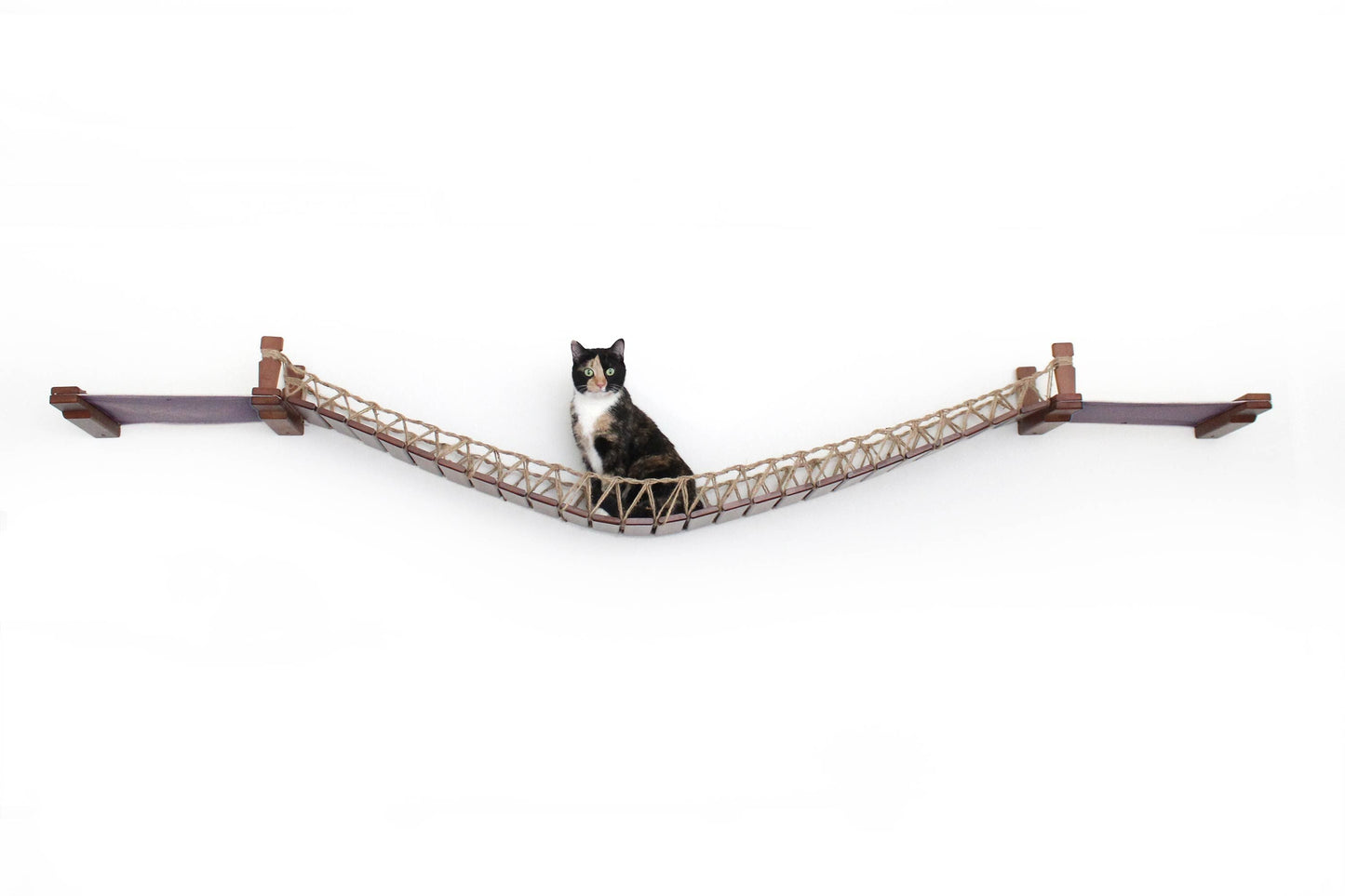 Double Cat Hammock Bridge - Suspension System with Climbing Platform
